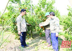 Huyện Như Xuân triển khai nhiều giải pháp thúc đẩy phát triển sản xuất nông nghiệp