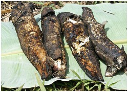 Món cá nướng bên ngoài đen sì, bên trong thơm nức nhất định phải nếm thử khi đến Hậu Giang