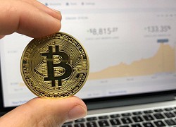 Một website từng tặng Bitcoin cho người dùng