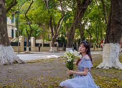 Mùa lá sấu rụng hút khách chụp ảnh