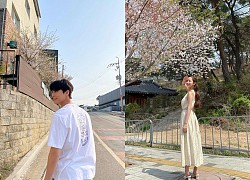 Park Min Young - Park Seo Joon lộ bằng chứng hẹn hò ngắm hoa anh đào, còn dùng "chiêu" này để đánh lạc hướng?