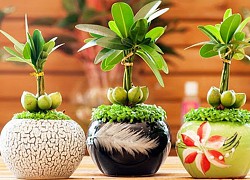 Phước đức 3 đời mới lấy được nàng giáp này về làm vợ, vừa ngoan hiền lại giỏi giang tháo vát - kiếm tiền chỉ là chuyện nhỏ