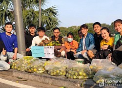 Sinh viên Nghệ An tại Huế bán cam gây quỹ hỗ trợ cho đồng hương bị bệnh hiểm nghèo
