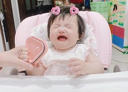 Tại sao ái nữ của Đông Nhi được 90 nghìn người follow? "Ăn vạ" cũng có 7749 biểu cảm gây sốt, bảo sao Winnie hot thế!