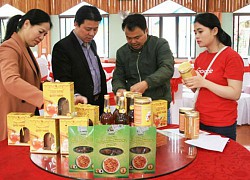 Tổ chức "Ngày đặc sản Sơn La" trên "Gian hàng Việt" trực tuyến