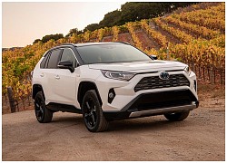 Xe xanh: Toyota sẽ bắt tay Tesla để phát triển dòng SUV cỡ nhỏ dùng động cơ điện?