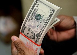 Tỷ giá ngoại tệ ngày 12/4: USD vào đợt tăng giá mới