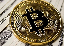 5 động lực khiến tiền ảo Bitcoin chỉ có thể tăng trong tương lai