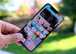 Apple có thể từ bỏ iPhone màn hình nhỏ