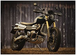 Chi tiết Triumph Scrambler 1200 Steve McQueen vừa ra mắt