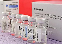 EU điều chỉnh chiến lược tiêm phòng sau sự cố với vaccine Johnson &#038; Johnson