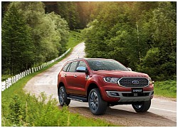 Ford Everest ghi nhận doanh số Quý I tăng 49% so với cùng kỳ năm ngoái, tương đương 1.459 xe