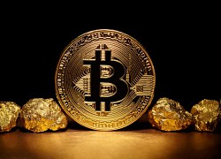 Giá Bitcoin quay đầu lao dốc