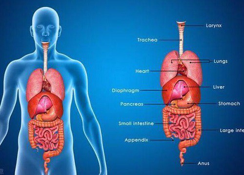 Dấu hiệu nhận biết 5 cơ quan nội tạng bị "bẩn": Hãy thử đối chiếu xem cơ thể bạn có sạch không?