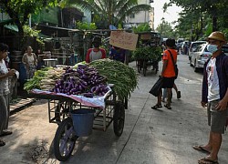 Kinh tế Myanmar rơi tự do