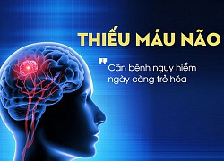 Nguyên nhân gây thiếu máu não