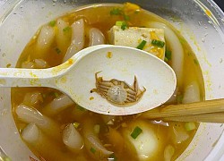 Order bánh canh cua về ăn, cô gái mém xỉu khi vớt thấy con cua trớ trêu trong hộp: Dân mạng cười muốn &#8220;nội thương&#8221;