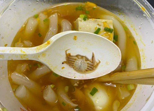 Order bánh canh cua về ăn, cô gái mém xỉu khi vớt thấy con cua trớ trêu trong hộp: Dân mạng cười muốn "nội thương"