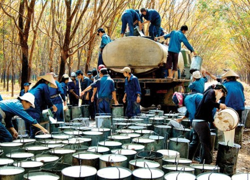 Quý I/2021, Cao su Tây Ninh (TRC) báo doanh thu tăng 94%, lợi nhuận chỉ tăng 14,2%