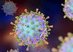 Tìm hiểu về virus gây bệnh quai bị và khả năng lây lan bệnh