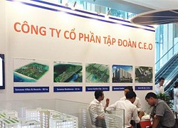 CEO vào diện cảnh báo từ ngày 20/4