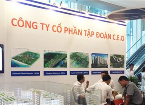 CEO vào diện cảnh báo từ ngày 20/4