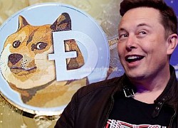 Elon Musk đăng tweet làm đồng Dogecoin tăng giá hơn 100%