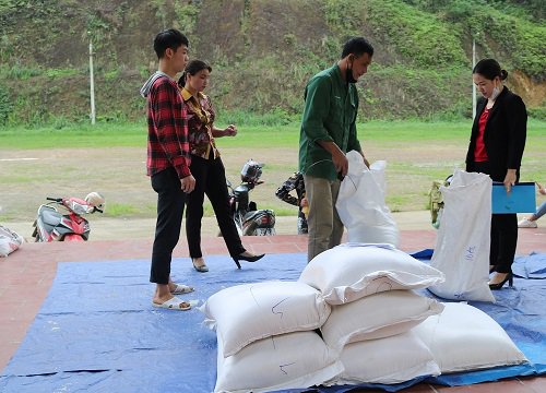 Hơn 300 tấn gạo đến với học sinh khó khăn