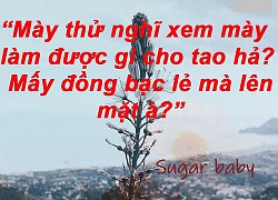 Loạt phát ngôn 'căng đét' của gái xinh bị bạn trai phát hiện làm sugar baby: 'Đang là mốt đấy, con nào chẳng làm'