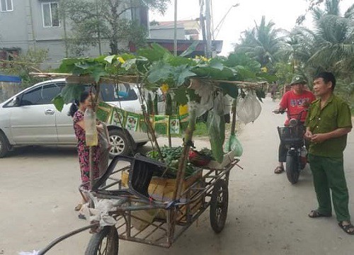 Người đàn ông Hải Phòng gây sốt khi kéo cả vườn cây trĩu quả đi khắp huyện, nhìn ai cũng thấy lạ xúm vào hỏi thì ra là bán mặt hàng này