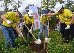 Sóc Trăng: Phát động chương trình &#8220;Trồng 1 tỷ cây xanh&#8221;