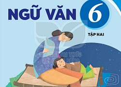 Thầy cô &#8220;nhặt sạn&#8221; sách giáo khoa Ngữ văn 6 bộ Kết nối tri thức với cuộc sống