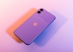 Apple ra mắt iPhone 12 màu tím, giá không đổi