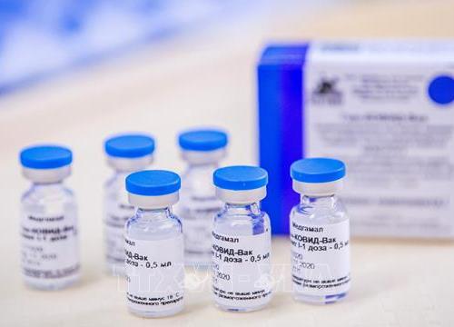 Argentina trở thành nước Mỹ Latinh đầu tiên sản xuất vaccine Sputnik V của Nga