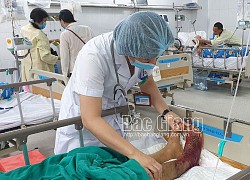 Bắc Giang: 2 bệnh nhân bị rắn hổ mang cắn nguy hiểm đến tính mạng