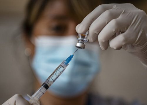 Bác sĩ thú y Chile tiêm vaccine của chó cho nhiều người