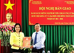 Bàn giao danh sách người ứng cử đại biểu Quốc hội và đại biểu HĐND tỉnh