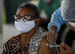 Brazil cấp phép thử nghiệm lâm sàng một loại vaccine ngừa COVID-19 mới