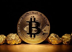 Giá Bitcoin hôm nay 20/4: Bitcoin giảm sập sàn, chuyên gia bi quan