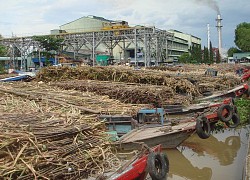 Ngành mía đường ASEAN hội nhập: &#8220;Thế giới chưa phẳng&#8221;