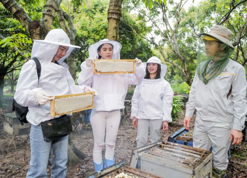 Ngọc Trinh nai nịt kỹ càng vào vườn nuôi ong mật