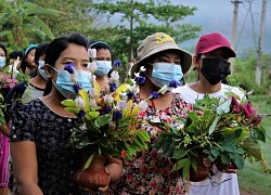 Nhật kêu gọi Myanmar thả nhà báo