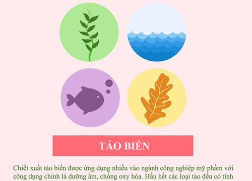 4 thành phần dưỡng da có nguồn gốc từ biển