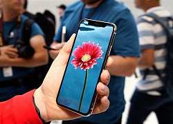 Apple tìm cách đa dạng hóa nguồn cung OLED với LG Display và BOE