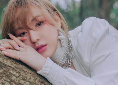 Biết Wendy cũng xem 'Sơn hà lệnh', fan vội 'cà khịa': 'Idol cũng 'đu' phim đam mỹ như chúng ta thôi!'