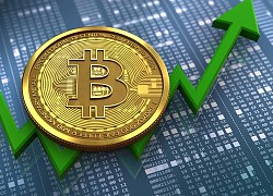 &#8216;Bitcoin chưa thể sụp đổ&#8217;