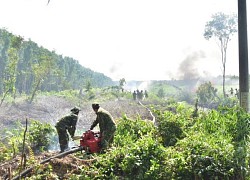 Cà Mau: Chủ động các biện pháp phòng cháy, chữa cháy rừng