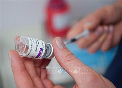 EMA khẳng định lợi ích của vaccine AstraZeneca tăng theo độ tuổi người tiêm