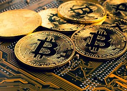 Giá Bitcoin &#8216;rơi thẳng đứng&#8217; xuống dưới mốc 50.000 USD, nhà đầu tư bán tháo