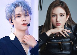 Loạt idol lai đình đám nhất Kpop: "Bông hồng lai" Somi lột xác cực sexy, nam thần được ví như Leonardo DiCaprio thời trẻ là ai?